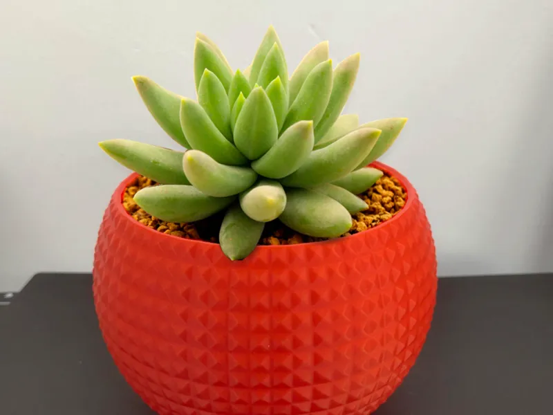 mini planter