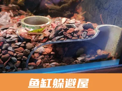 Aquarium Aquascape Hideout