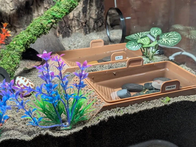 Buried Removable Water Dish