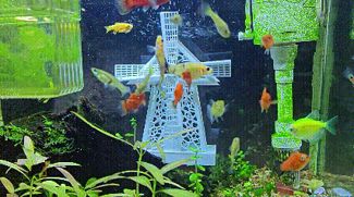 鱼缸风车躲避屋