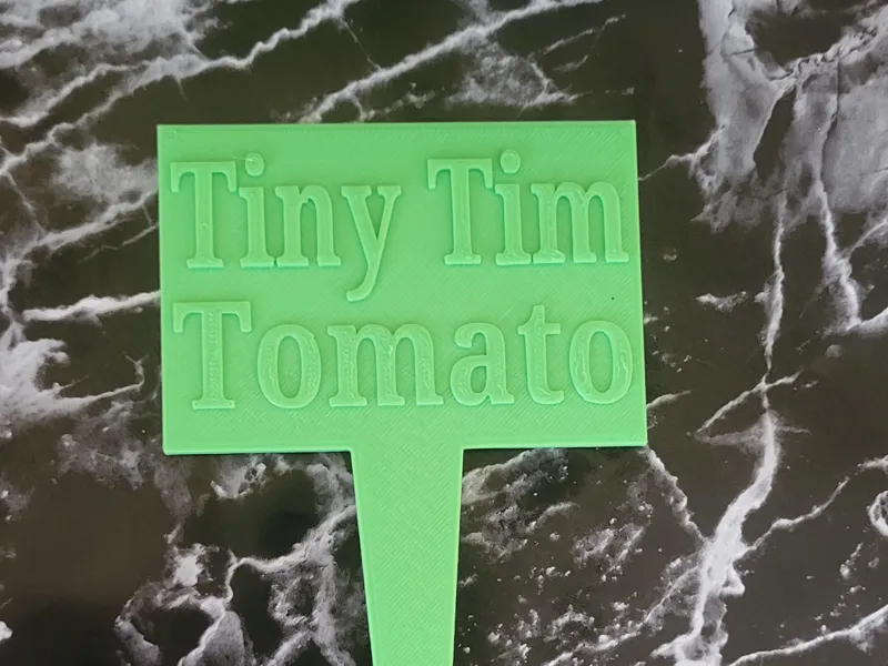 Tiny Tim Tomato spike