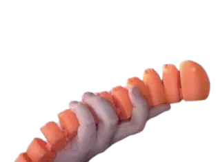 Articulated eel