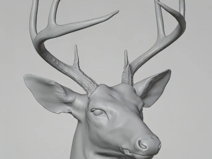 White tail mount