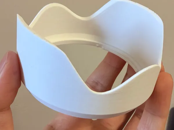 https://makerworld.bblmw.com/makerworld/model/DSM00000002448860/design/ce4852aa213955c7.jpg