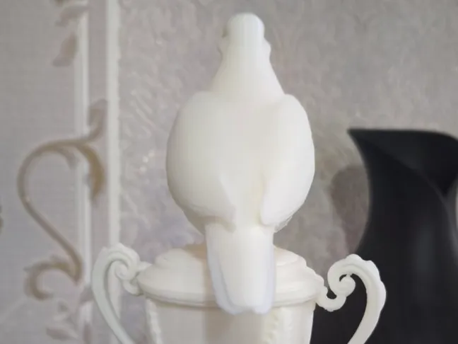 Trophy Dove (CUP).