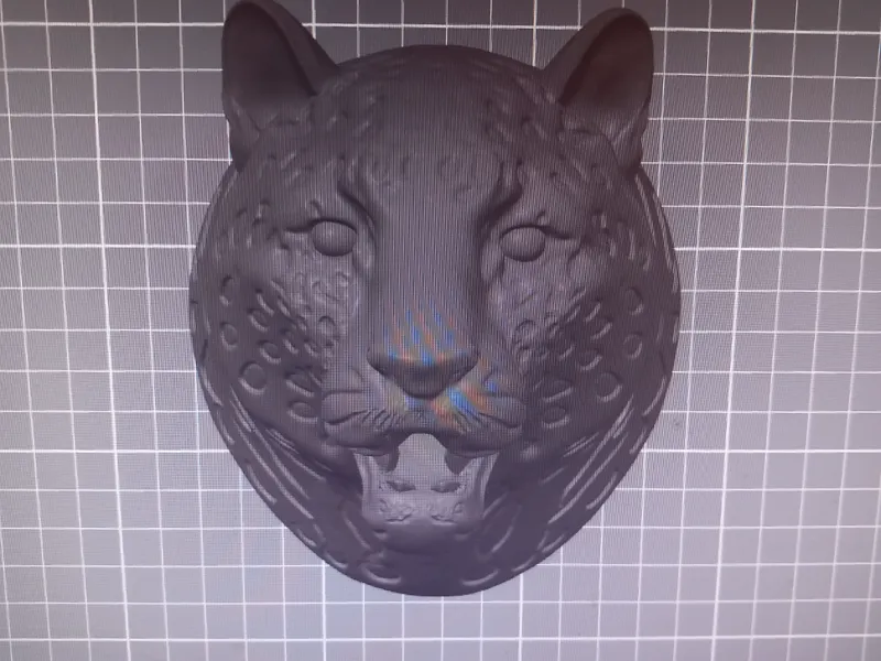 cabeza de leopardo