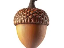 acorn lamp