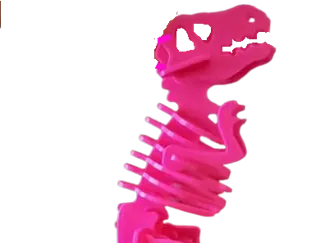 Coach Rexy keychain