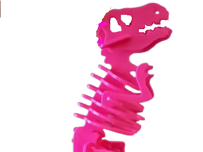 Coach Rexy keychain