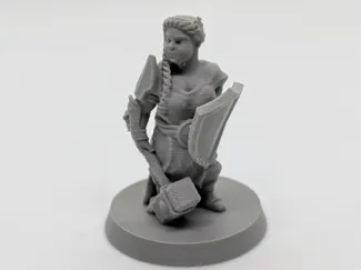Female dwarf cleric FDM supportless