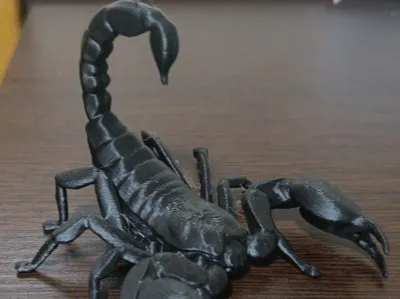 Scorpion and additional base 