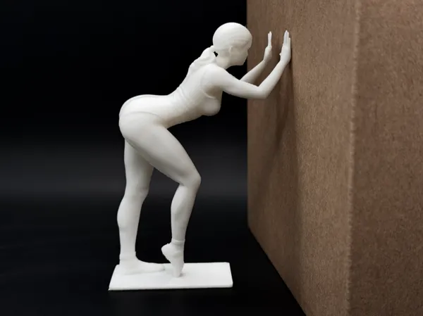 https://makerworld.bblmw.com/makerworld/model/DSM00000002453724/design/8a1c98b2e68d677b.jpg