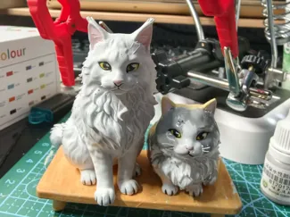 缅因猫和矮脚三花排排坐合照