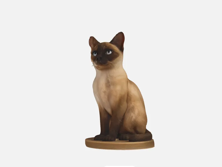 Gato