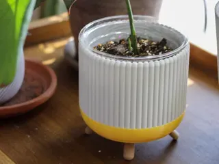 Saeb Modern Plant with Base