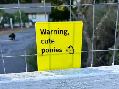 Warning cute pony sign