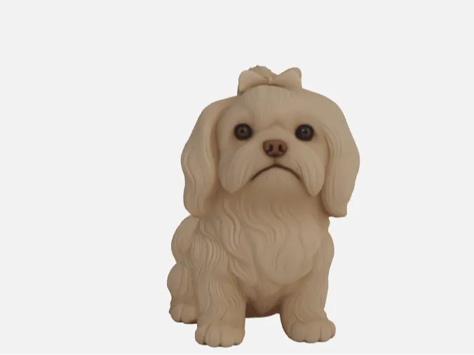 Shih Tzu cachorro