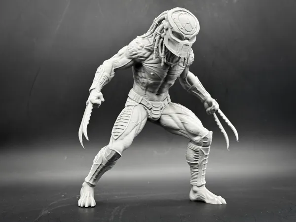 https://makerworld.bblmw.com/makerworld/model/DSM00000002458876/design/dd27ee93ccf5a273.jpg