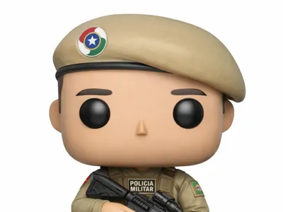 Santa Catarina military police