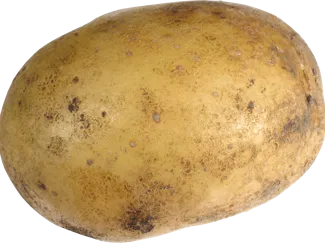Phone Stand (ITS NOT A POTATO)