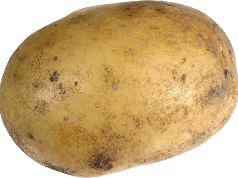 Phone Stand (ITS NOT A POTATO)