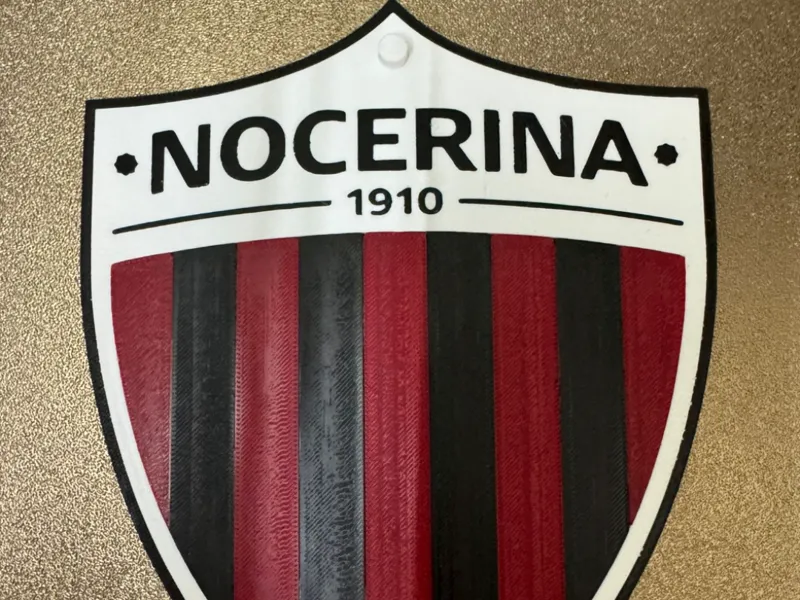 Stemma Nocerina 15x18