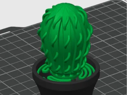 Spin And Click Cactus ( Kaktüs )