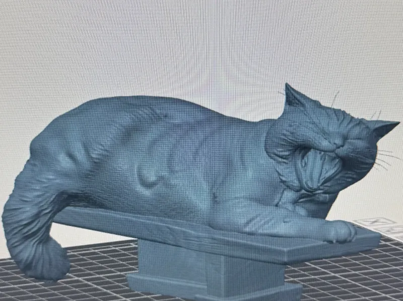 Katze