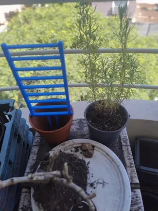 Vine climber pot