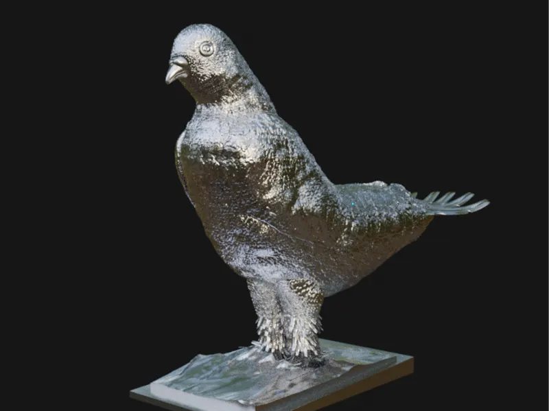 bird