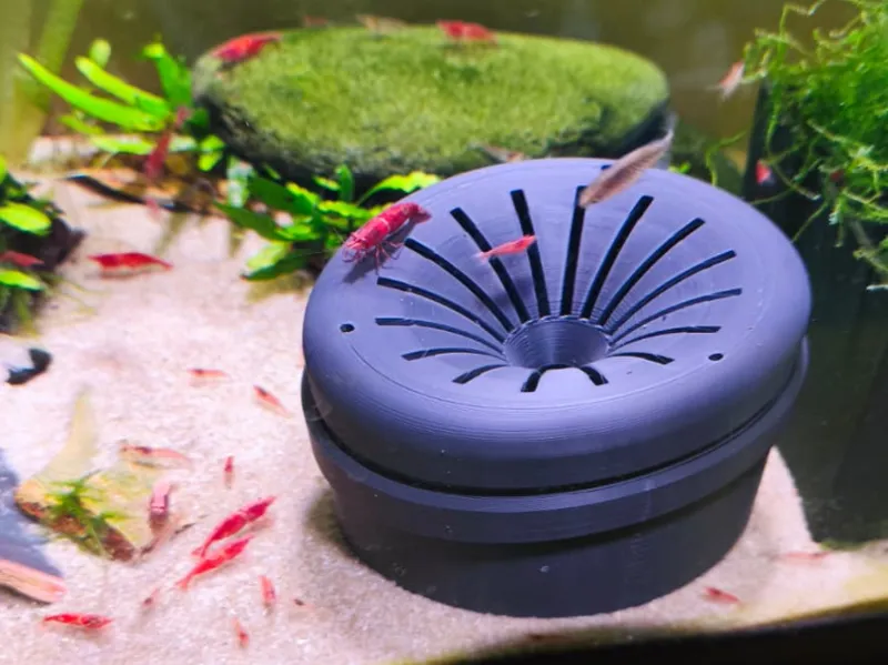Aquarium Shrimp Trap