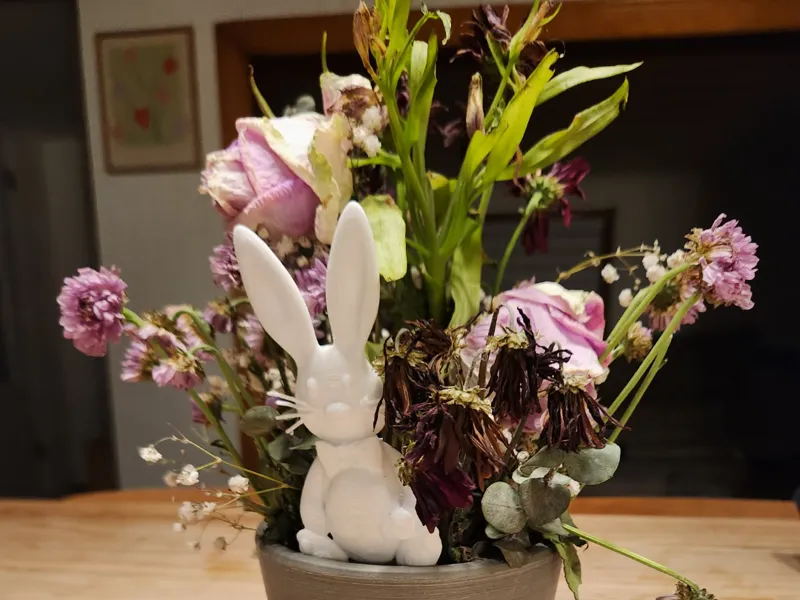 Easter bunny