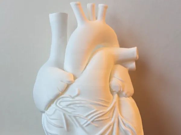 https://makerworld.bblmw.com/makerworld/model/DSM00000002471594/design/05883d504b3ea4ca.jpeg