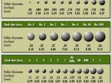 Lead Steel and Buck Shot Shotgun Pellet Sizes!