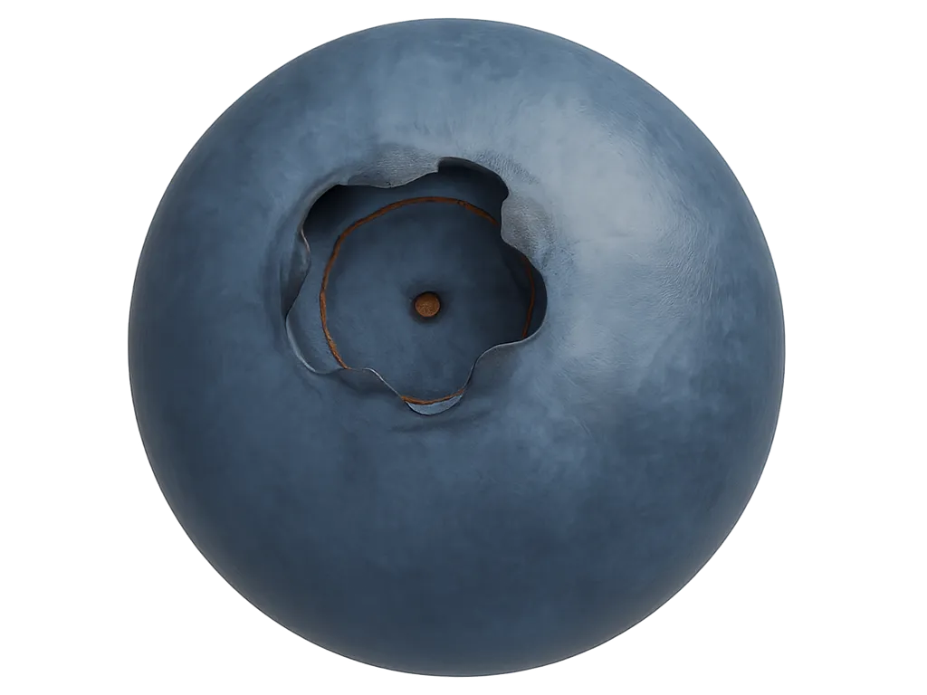 Single Blueberry Model - Free 3D Print Model - MakerWorld