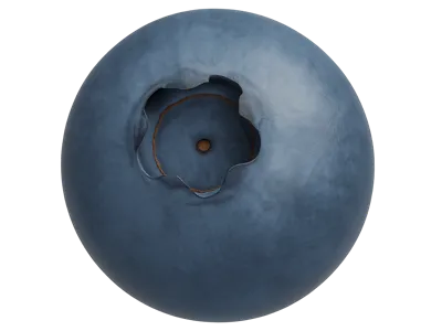 Single Blueberry Model