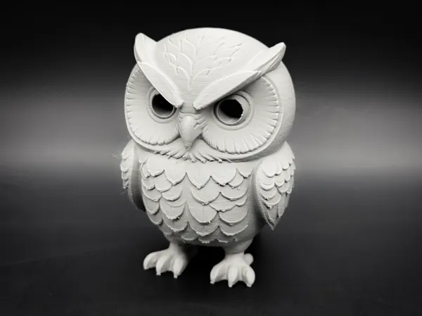 https://makerworld.bblmw.com/makerworld/model/DSM00000002472891/design/42dd06b9c70b7cf1.jpg