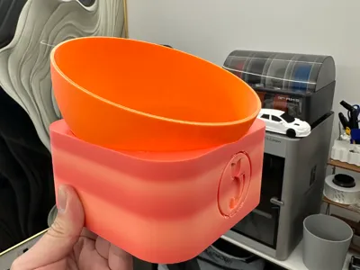 Cat bowl
