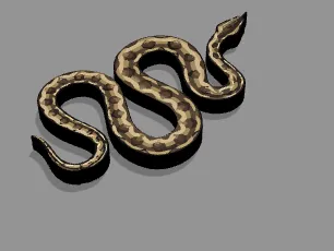 Flexi Snake