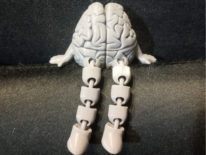 A brain with flexible legs