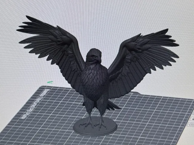 Adler mit offenen Flügel