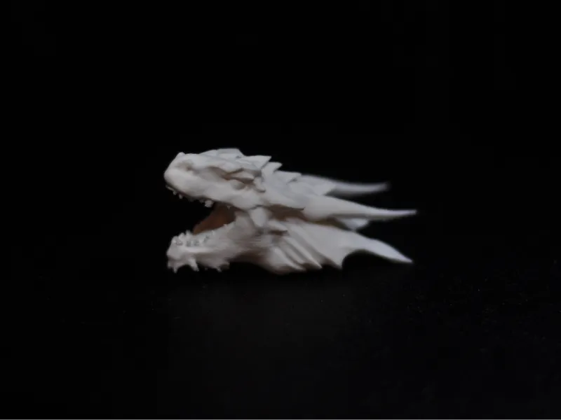 Dragon Head