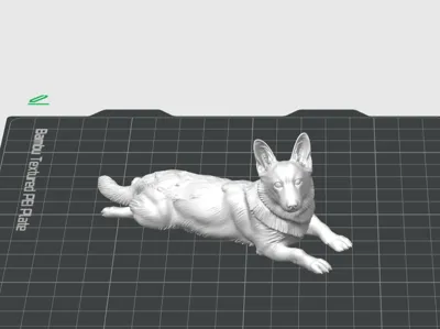 High Definition Prone Corgi Dog Animal Model
