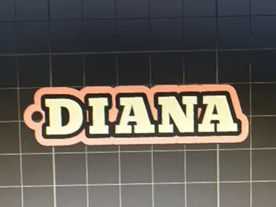 colorful Diana keychain