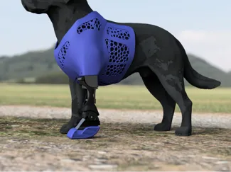 Luka harness for dog prosthetic front leg
