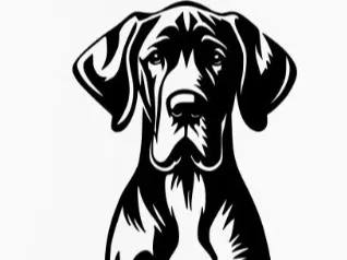 Great Dane Wall Art