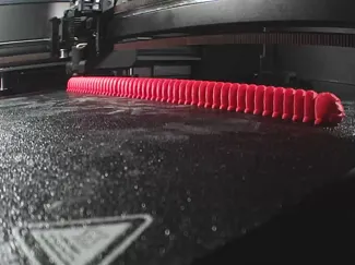 looong millipede