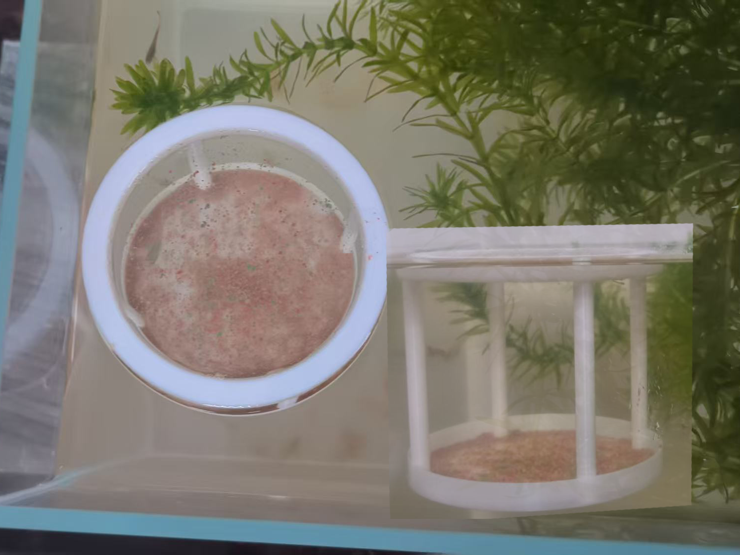漂浮鱼缸喂食器防食物掉落