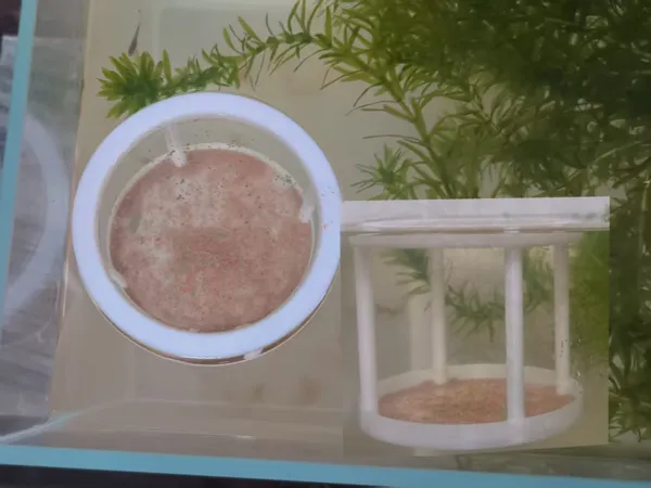 https://makerworld.bblmw.com/makerworld/model/DSM00000002484483/design/8cdf119b25ba4a5c.png