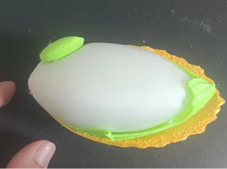水稻粒卡通版纵切